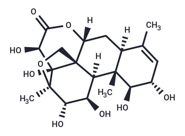 鸦胆子素E|TN1128|TargetMol