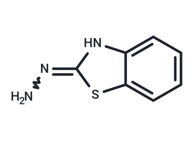 2-肼基苯并噻唑|T20513|TargetMol