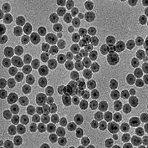 Fe3O4 Nanoparticles?，不修饰的四氧化三铁纳米颗粒
