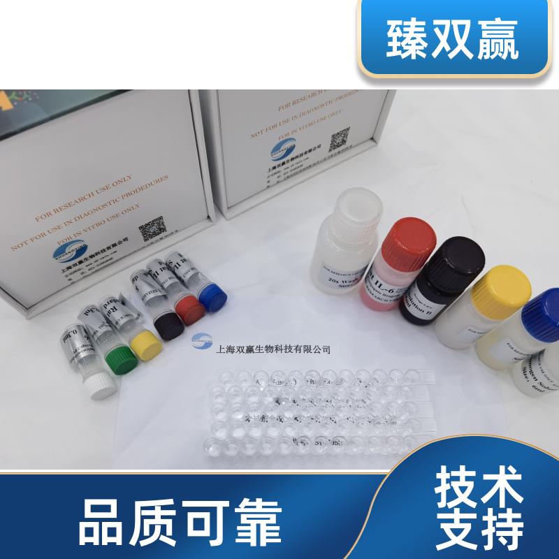 人谷氨酰半胱氨酸连接酶调控亚基(GCLM)ELISA试剂盒