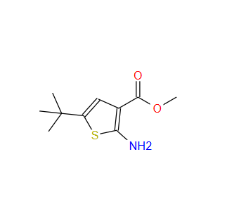 216574-71-9；2-氨基-5-叔丁基噻吩-3-甲酸甲酯；methyl 2-amino-5-tert-butylthiophene-3-carboxylate