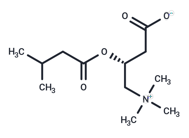化合物Isovalerylcarnitine|T19384|TargetMol
