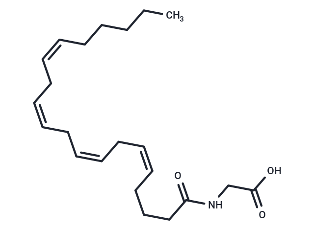 化合物 N-Arachidonylglycine|T23040|TargetMol
