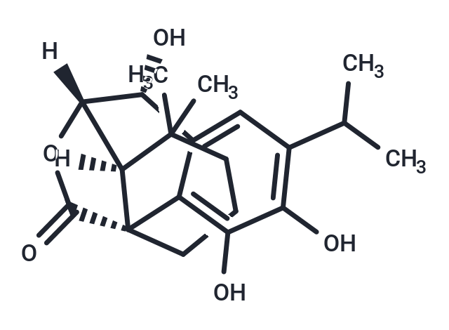 化合物Epirosmanol|T9135|TargetMol
