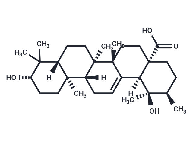 化合物Pomolic acid|TN2097|TargetMol