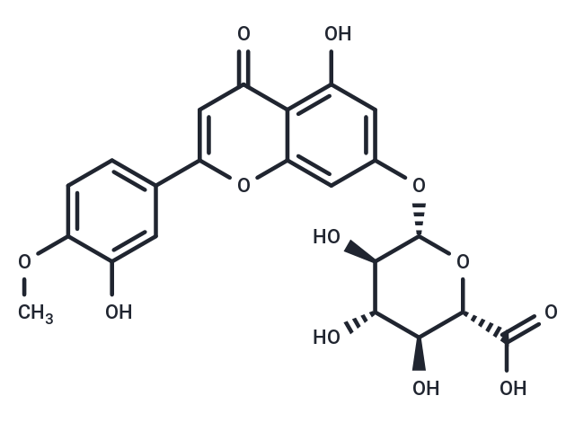 化合物DiosMetin 7-O-β-D-Glucuronide|T11047|TargetMol