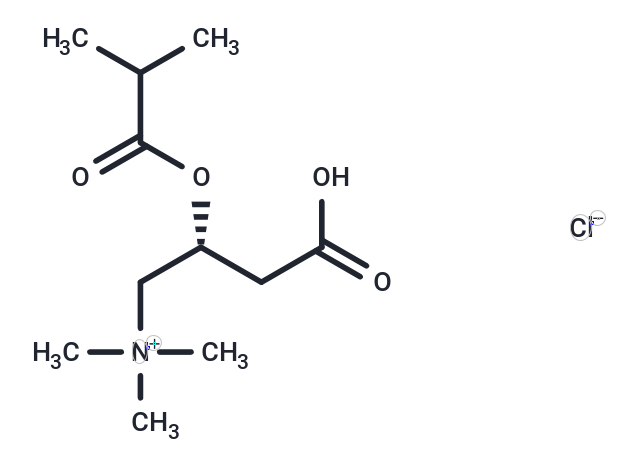 Isobutyryl-L-carnitine 氯盐|T73766|TargetMol