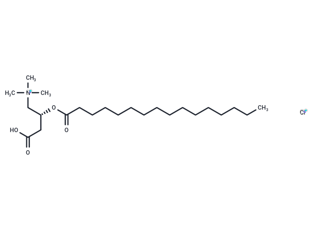 L-Palmitoylcarnitine 氯化物|T37299|TargetMol