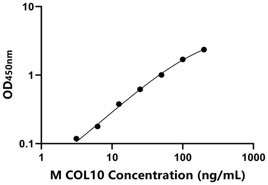 COL10 ELISA KIT / 小鼠Ⅹ型胶原 ELISA试剂盒