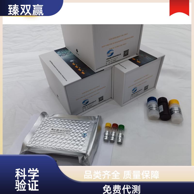 人白细胞介素17γ(IL-17γ)ELISA试剂盒