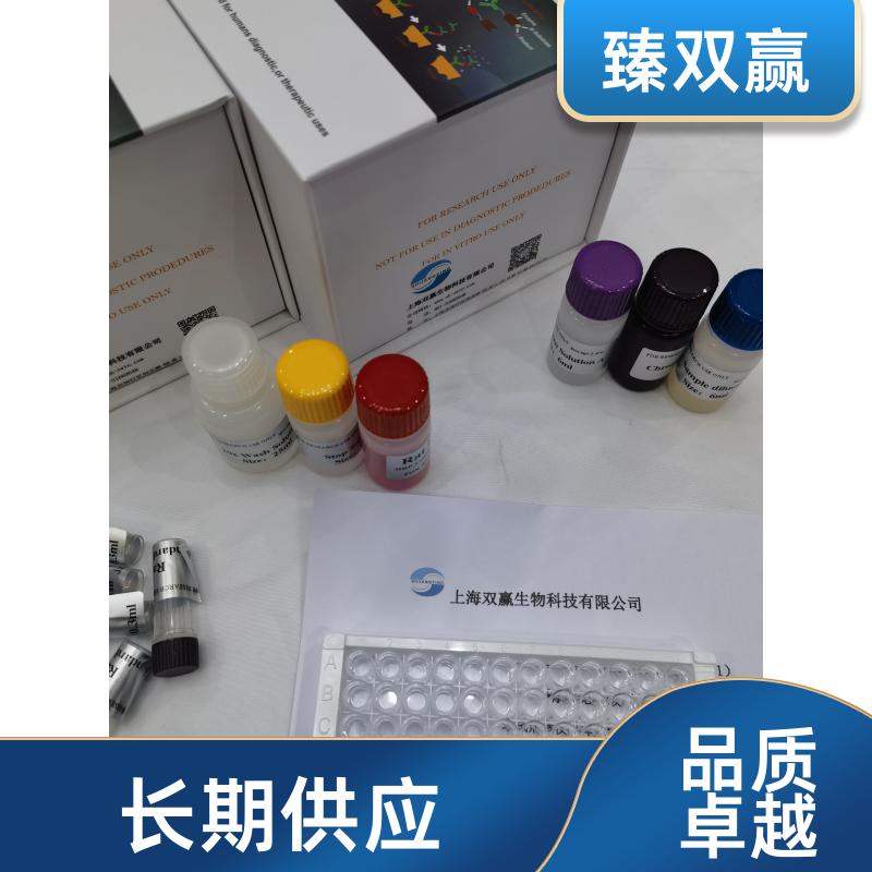 人窖蛋白Caveolin2(Cav-2)ELISA试剂盒