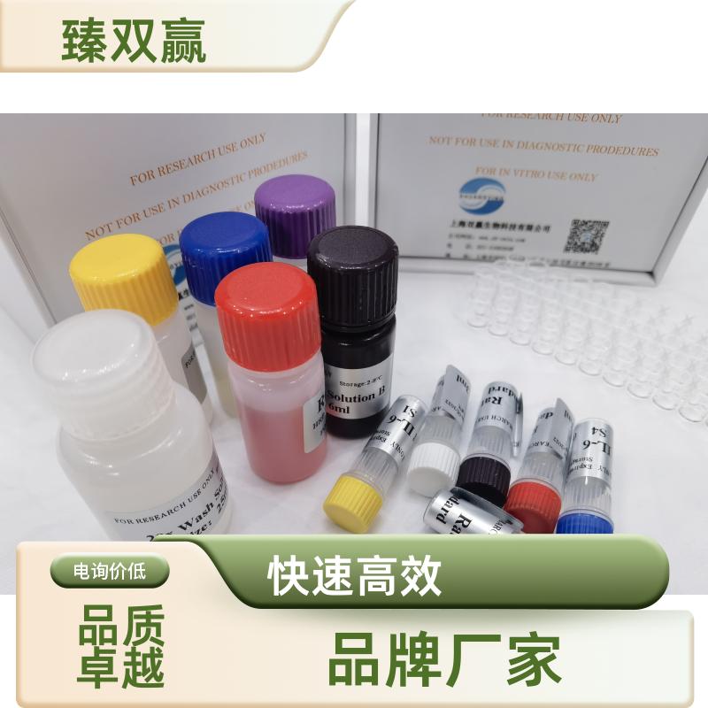 人窖蛋白Caveolin2(Cav-2)ELISA试剂盒