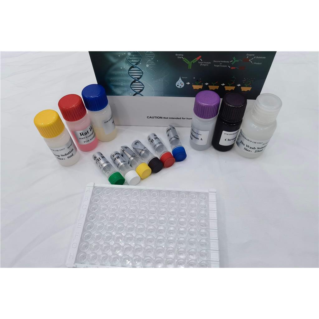 人胶原酶Ⅲ(Collagenase Ⅲ)ELISA试剂盒