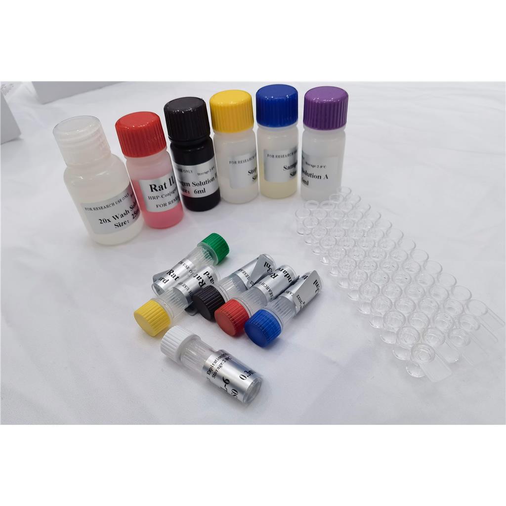 人凋亡酶激活因子(APAF-1)ELISA试剂盒