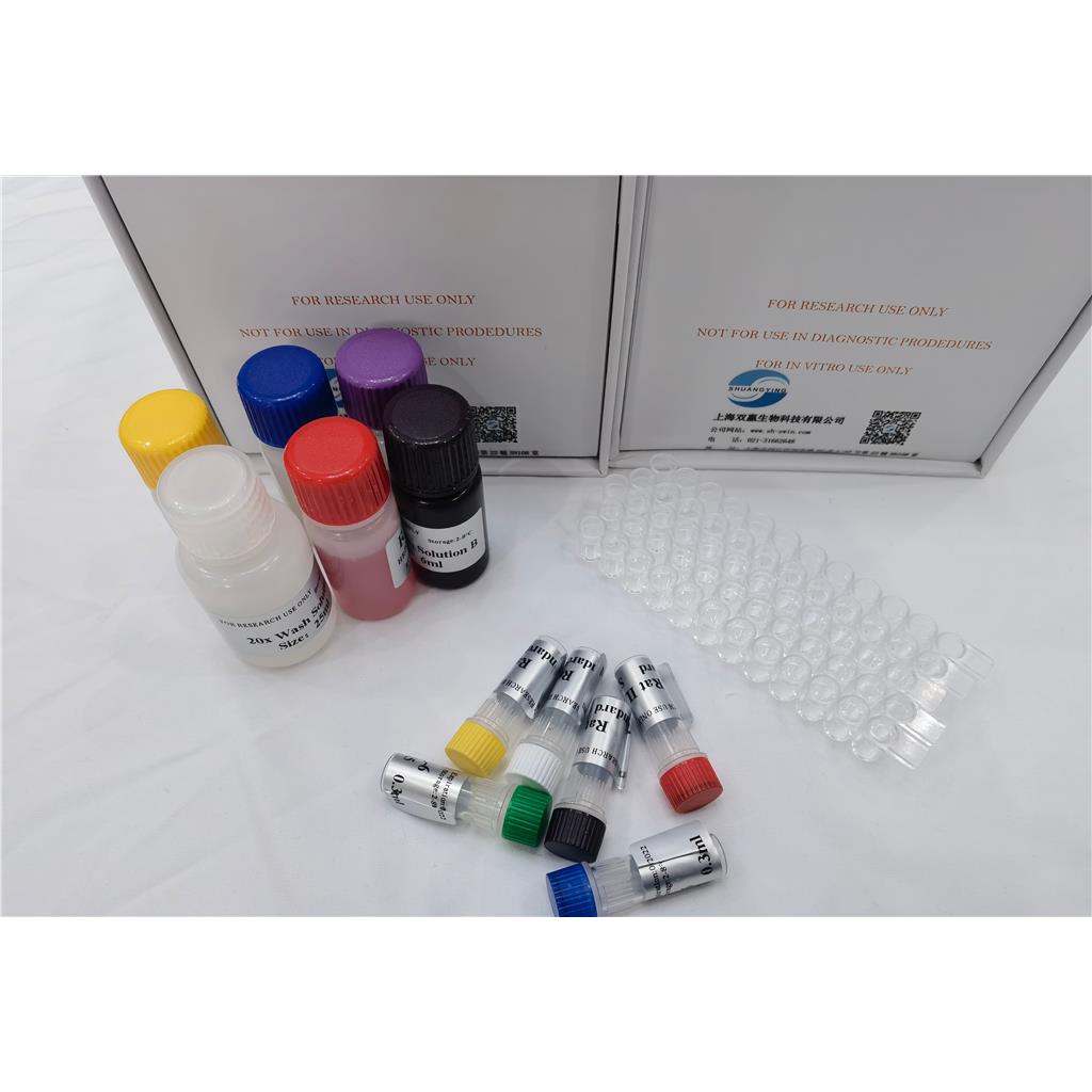 人凋亡酶激活因子(APAF-1)ELISA试剂盒