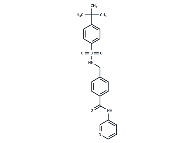 化合物 STF-31|T2363|TargetMol