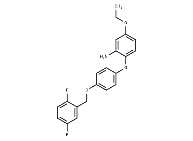 化合物 SEA0400|T3508|TargetMol