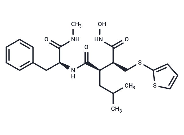巴马司他|T6011|TargetMol