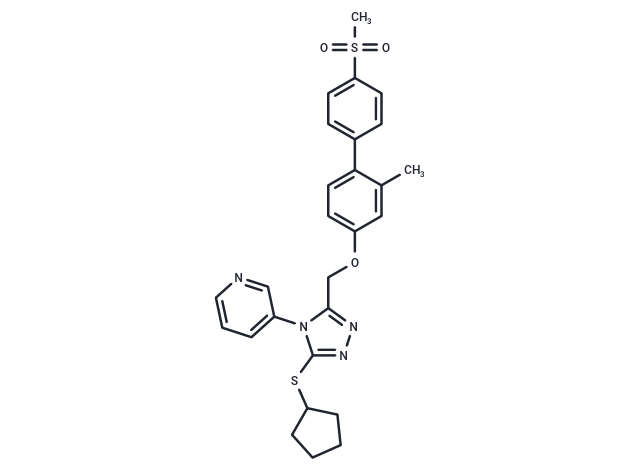 化合物 NMS 873|T1853|TargetMol
