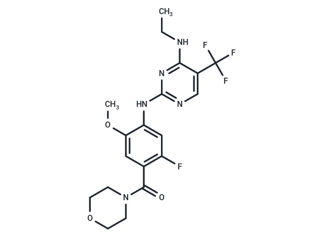 化合物 GNE7915|T1945|TargetMol