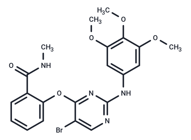 化合物 SBI-0206965|T2128|TargetMol