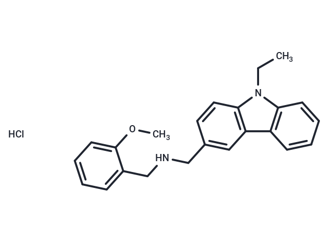化合物 HLCL-61 hydrochloride|T6857|TargetMol