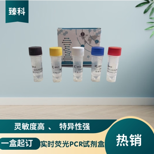 马媾疫锥虫核酸试剂盒（荧光PCR法）