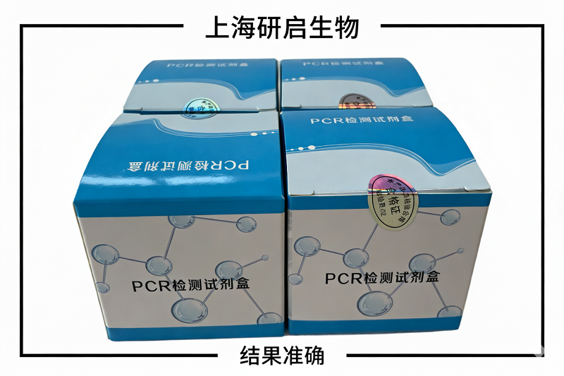 嗜水气单胞菌（AH）核酸检测试剂盒