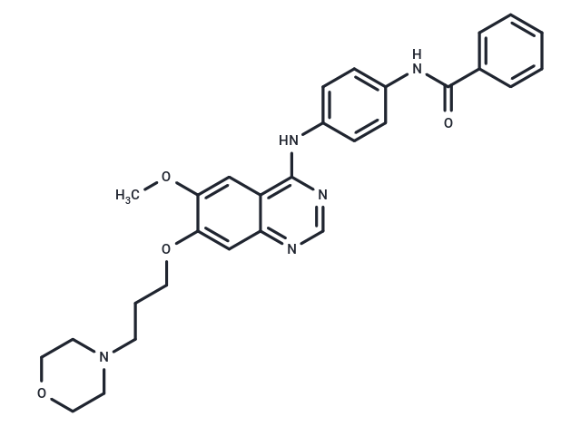化合物 ZM 447439|T6077|TargetMol