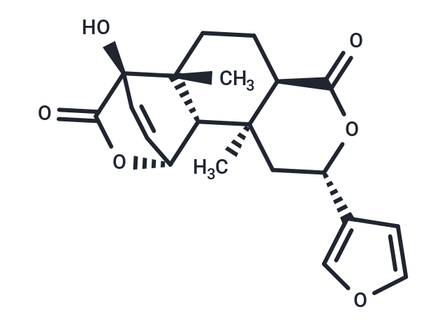 古伦宾|T4S0590|TargetMol