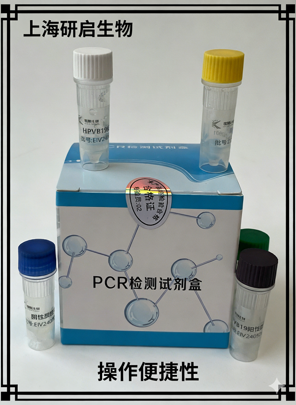 羊布氏杆菌(BS)核酸检测试剂盒