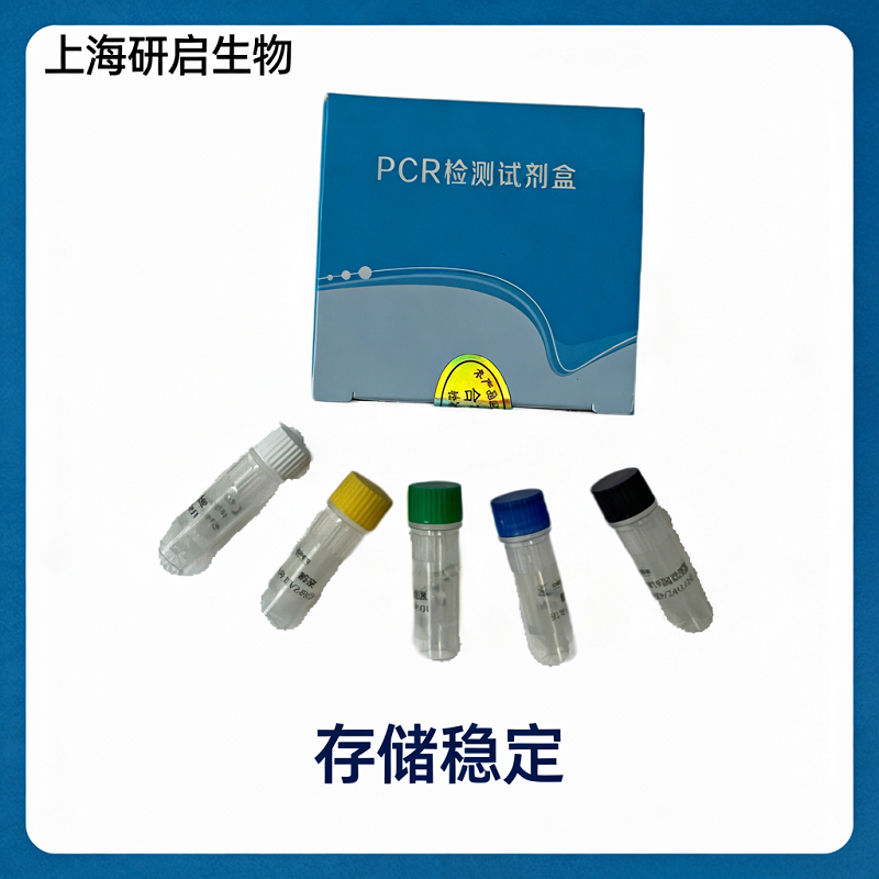 羊布氏杆菌(BS)核酸检测试剂盒