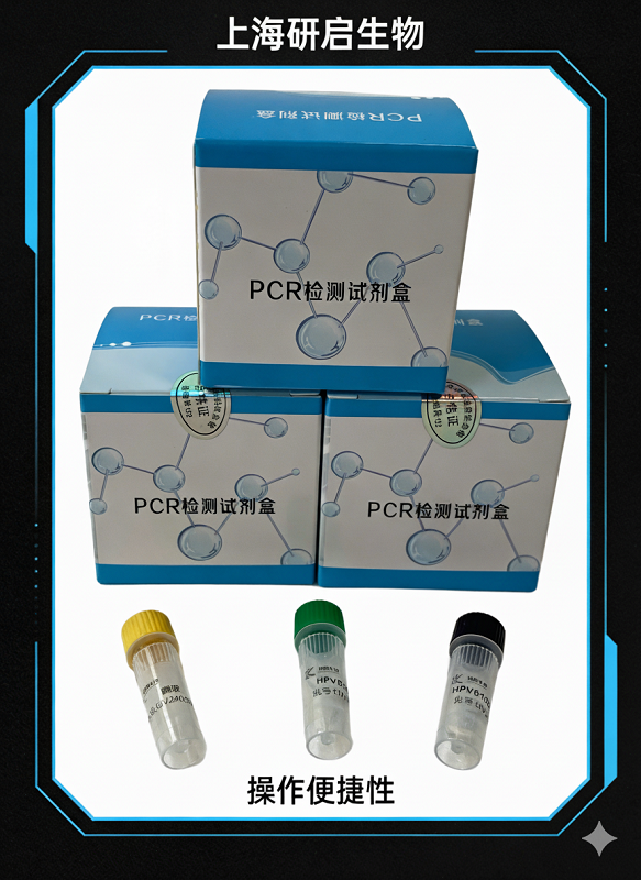 犬衣原体（CP）核酸检测试剂盒