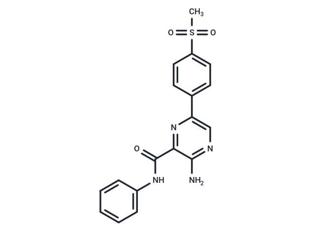 化合物 VE-821|T3032|TargetMol