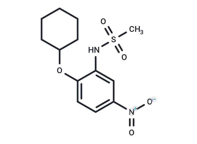 化合物 NS398|T3214|TargetMol