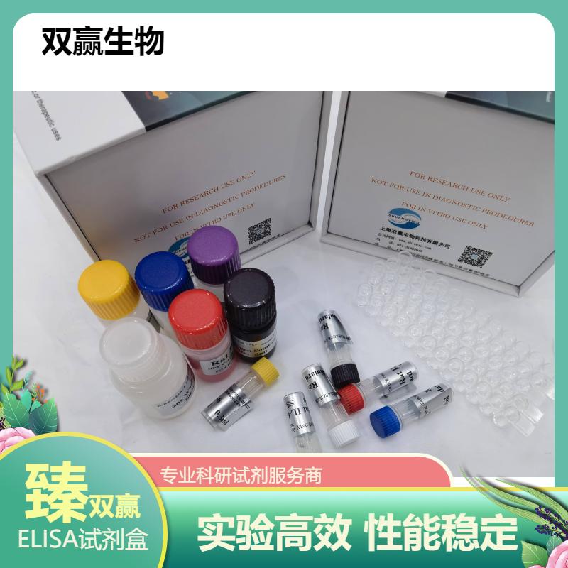 人K-Ras(K-Ras)ELISA试剂盒