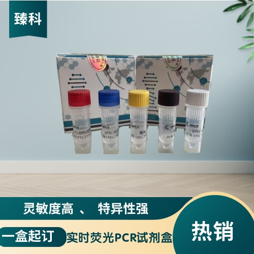 犬冠状病毒(CFCOV）核酸试剂盒(荧光-PCR法)