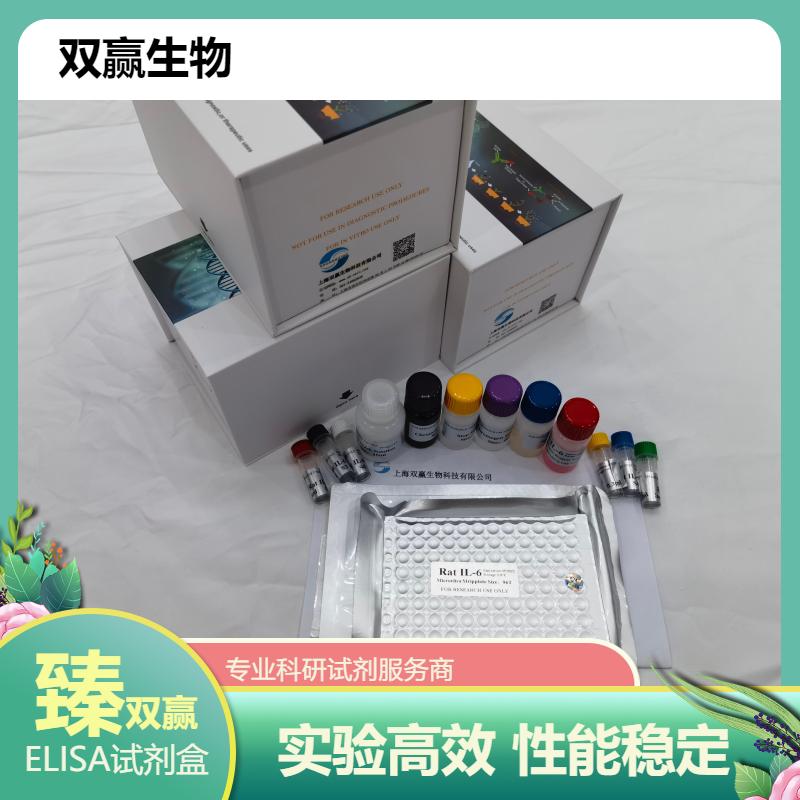 人增殖细胞核抗原抗体(PCNA)ELISA试剂盒