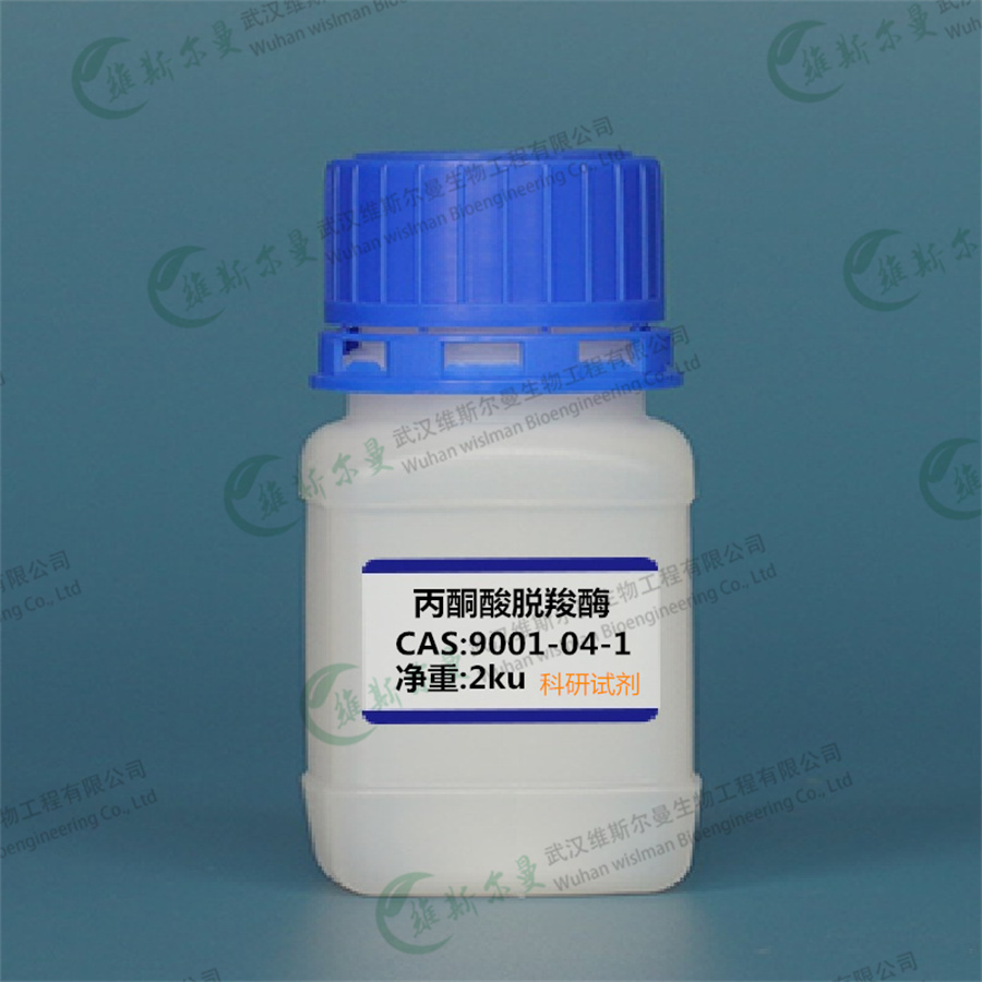 丙酮酸脱羧酶  9001-04-1 | 高酶活试剂 | 科研试剂 | 维斯尔曼生物