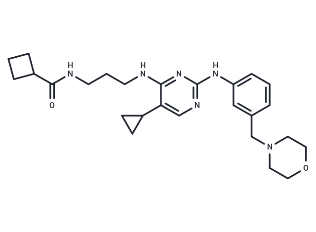 化合物 MRT67307|T0097|TargetMol