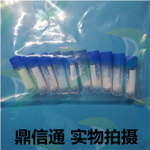 天冬氨酸氨基转移酶