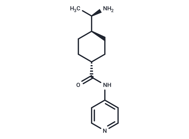 化合物 Y27632|T1870