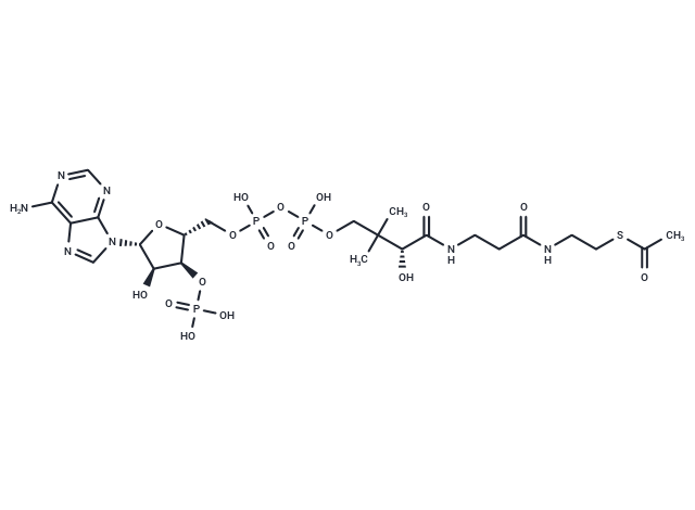 化合物 Acetyl coenzyme A|T73805|TargetMol