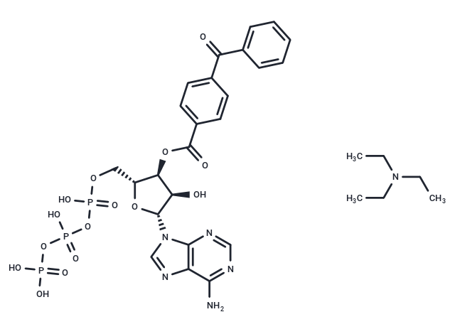 化合物BzATP triethylammonium salt|TP2226|TargetMol