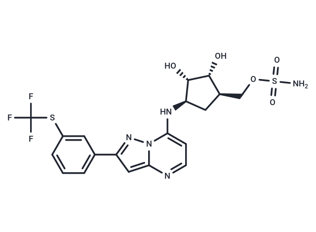 化合物 TAK-243|T16974|TargetMol