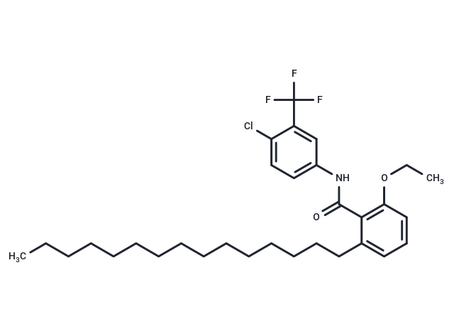化合物 CTPB|T15014|TargetMol