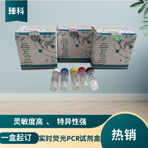 鸭星状病毒（DAstV）核酸试剂盒（荧光PCR法）