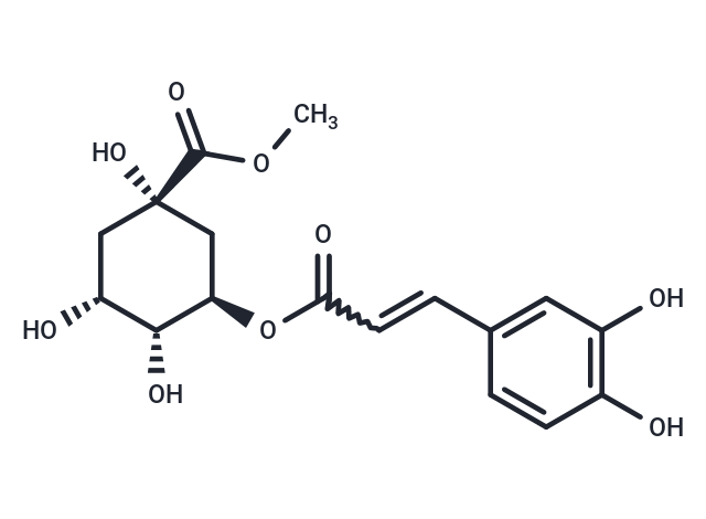 化合物methyl chlorogenate|TN6726|TargetMol
