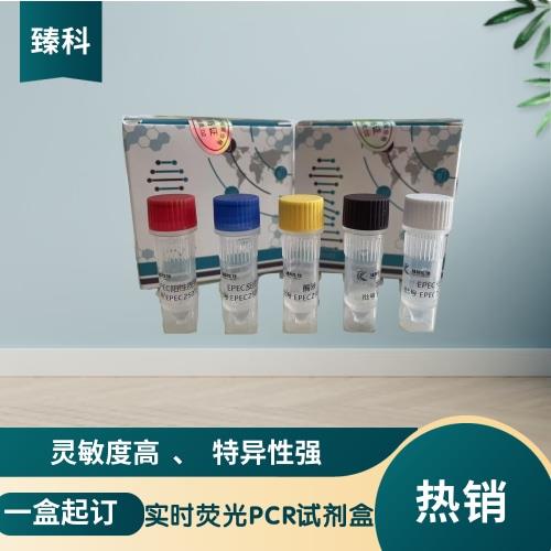 新PCR1-3.jpg 新PCR1-3.jpg