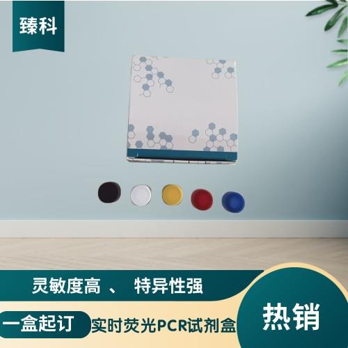 新PCR1-2.jpg 新PCR1-2.jpg